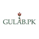 Profile photo of gulabpk
