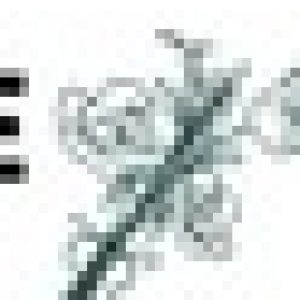 Profile photo of sincereflowers