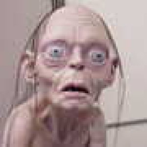 Profile photo of lowrens