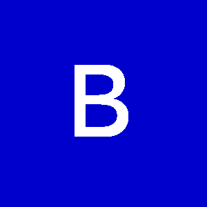 Profile photo of bayersa